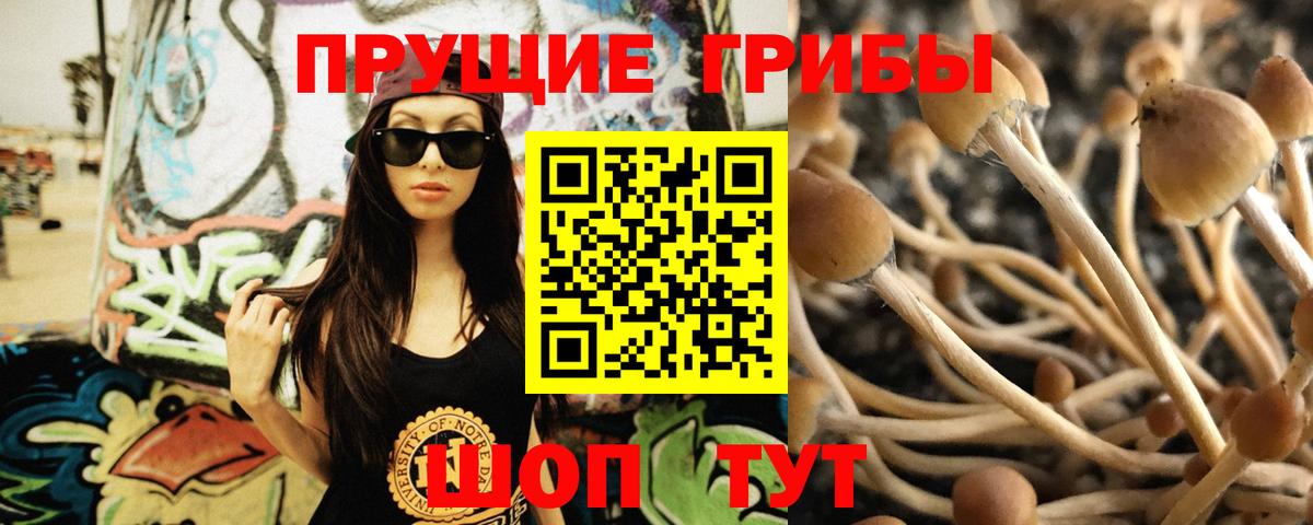 Псилоцибиновые грибы Cubensis  Вход с VPN  Богородск 